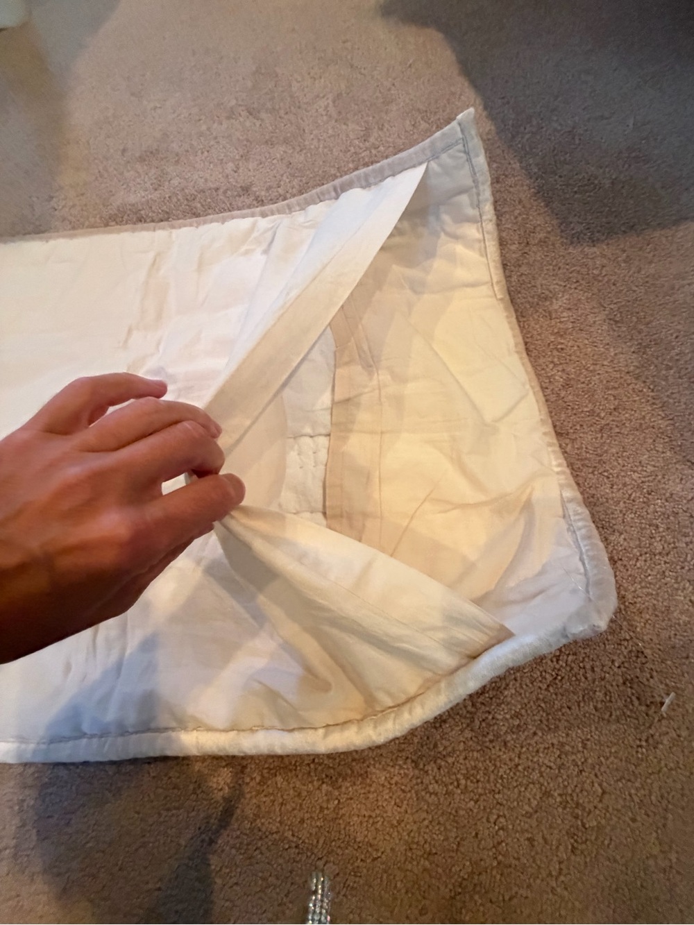 Anthropologie lustered velvet Alastair pillow cover sham cream pearl beige - Picture 10 of 10